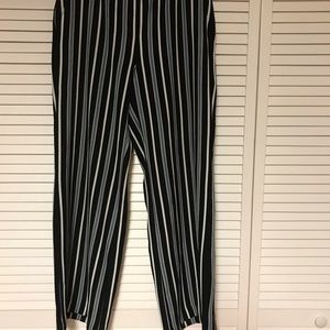Ann Taylor Pants